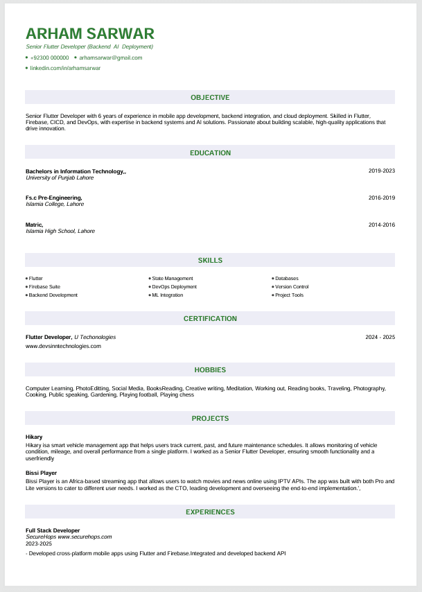 Modern CV Template