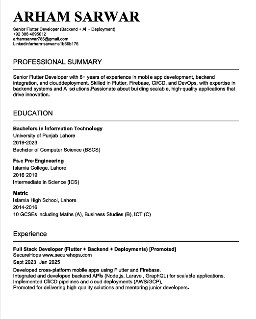 Professional CV Template